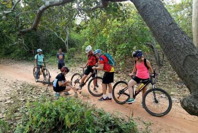 Tour de campos de arroz y pueblos rurales