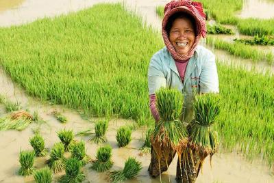 Fuera de los caminos