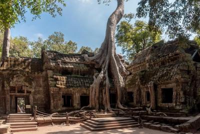 Explore Angkor Wat y Ta Phrom en profundidad