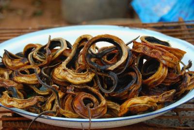 Mordedura de scooter en la noche