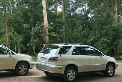 Traslado de ida desde y hacia el aeropuerto de Siem Reap en autom Traslado de ida desde y hacia el aeropuerto de Siem Reap en autom