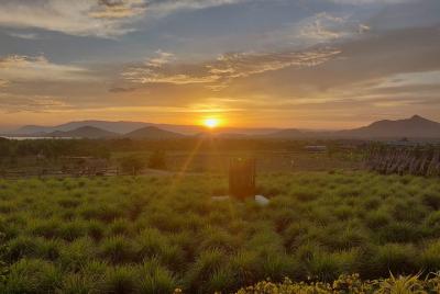 Cena al atardecer en La Plantation