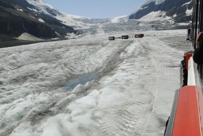 Transporte a Columbia Ice Field Tour