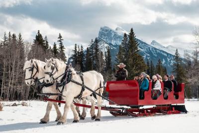 Paseo en trineo tirado por caballos en Banff