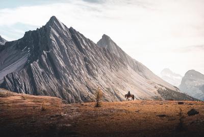 Excursión de 6 días a Halfway Lodge Backcountry por Horseback