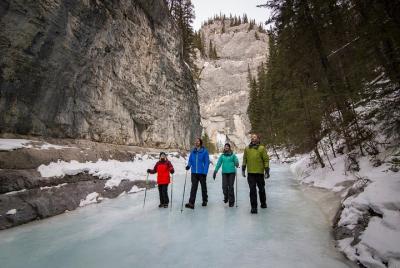 Gruta Canyon Icewalk