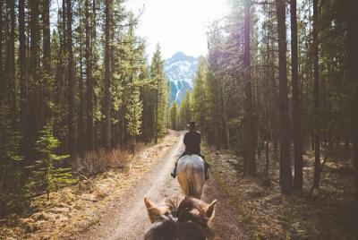 Paseo a caballo de 1 hora en Kananaskis