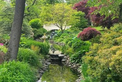 Halifax de vez en cuando