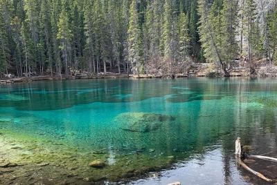 Gemas ocultas e historias no contadas: recorrido a pie de 3 horas