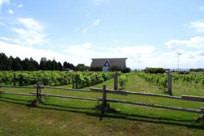 Visita a la bodega central de PEI, el apiario y la degustación de Visita a la bodega central de PEI, el apiario y la degustación de