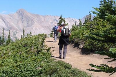 Caminata de 3 días y cena en Jasper desde Edmonton con alojamient Caminata de 3 días y cena en Jasper desde Edmonton con alojamient