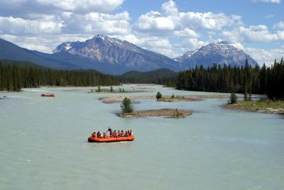 Viaje en balsa escénica fácil por el río Athabasca