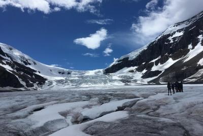 Excursión de medio día al glaciar Athabasca
