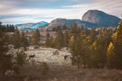 Experiencia fotográfica privada de 4 horas 
