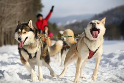 Aventura en trineo en Mont-Tremblant Aventura en trineo en Mont-Tremblant