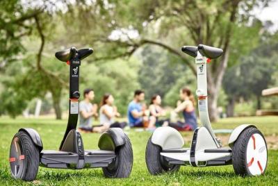 Paseo en miniPRO en Segway por los parques de Port Dalhousie Paseo en miniPRO en Segway por los parques de Port Dalhousie