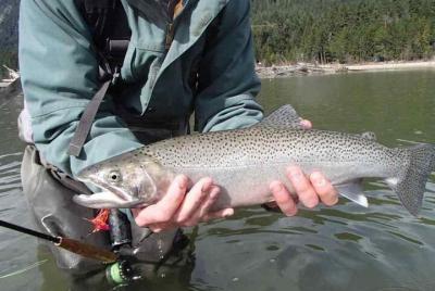 Whistler de medio día de pesca de la vuelta