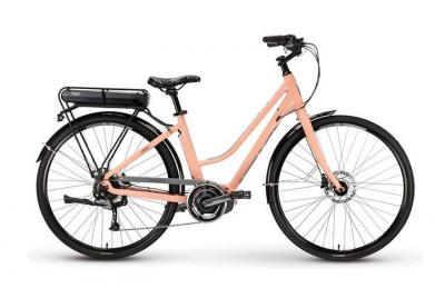 Alquiler de bicicletas eléctricas de día completo en la ciudad de