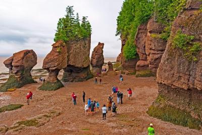 Lo mejor de Fundy con Hopewell Rocks