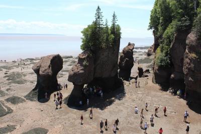 Tour privado de 1 día a Hopewell Rocks de Saint John