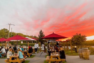 Recorrido por la región vinícola del Niágara (desde Toronto), más