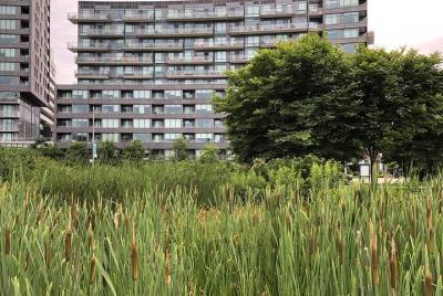 Recorrido por el distrito de Corktown y la destilería