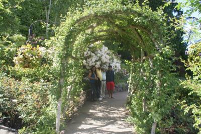 Paquete de 3 días por la ciudad de Vancouver con Whistler y Victo