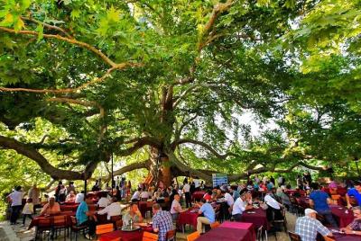 Tour por la ciudad de Bursa - Base grupal