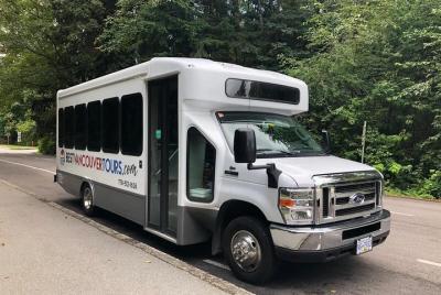 Recogida en el hotel incluida: tour de 4 horas por la ciudad de V
