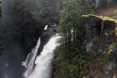 Caminata guiada por la naturaleza de Elk Falls
