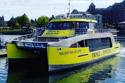 Aventura de avistamiento de ballenas de medio día desde Victoria