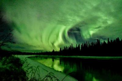 Aurora boreal y perros esquimales