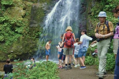 Excursión privada a pie al Parque Nacional Mtirala desde Batumi Excursión privada a pie al Parque Nacional Mtirala desde Batumi