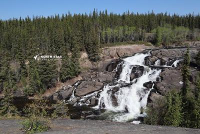 Tour de caminata por la naturaleza