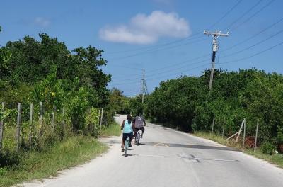 Tour en bicicleta y snorkel en Pedalz Tour en bicicleta y snorkel en Pedalz