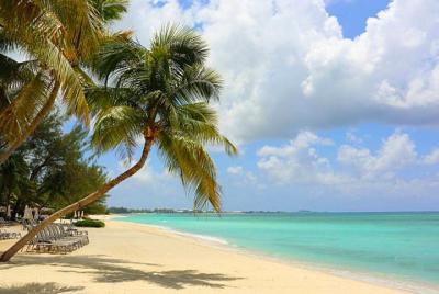 Excursión en tierra: Grand Cayman Beach y Off The Beaten Track Tour Excursión en tierra: Grand Cayman Beach y Off The Beaten Track Tour