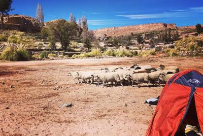 Tour Pueblos Altiplanicos 