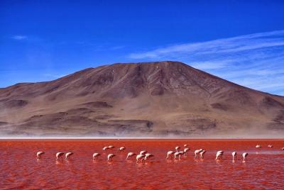 6 días descubriendo 2 de las salinas más grandes del mundo, Ataca