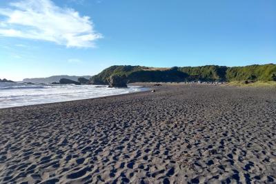 Parque Pedro del Río Zañartu y Playa Rocoto Parque Pedro del Río Zañartu y Playa Rocoto