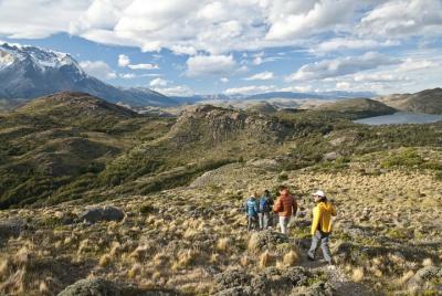 Exploración de 5 días en el Valle del Elqui y la Reserva Nacional de Pingüinos de Humboldt Exploración de 5 días en el Valle del Elqui y la Reserva Nacional de Pingüinos de Humboldt