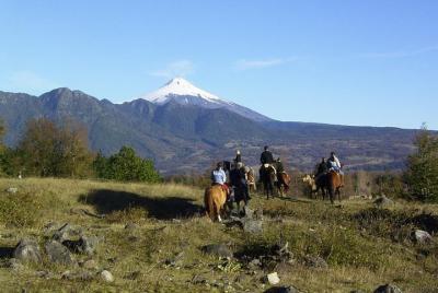 Excursión a caballo Trailride Excursión a caballo Trailride