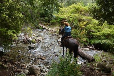 Paseo a caballo en Pucon Paseo a caballo en Pucon