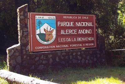Tour Parque Nacional Alerce Andino / Alerce Milenario Tour Parque Nacional Alerce Andino / Alerce Milenario