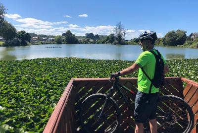 Ciclismo de montaña - Llanquihue (15 millas) Ciclismo de montaña - Llanquihue (15 millas)