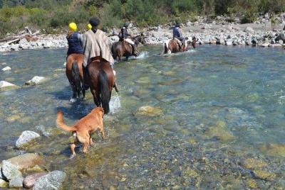Montar a caballo con salmones y ciervos