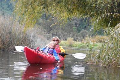 Medio Día de Kayak en el Lago Llanquihue Medio Día de Kayak en el Lago Llanquihue