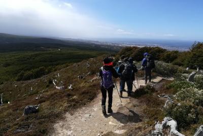 Caminata de día completo por el bosque patagónico Caminata de día completo por el bosque patagónico
