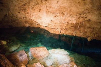 Excursión privada de senderismo al Parque Nacional del Este con n
