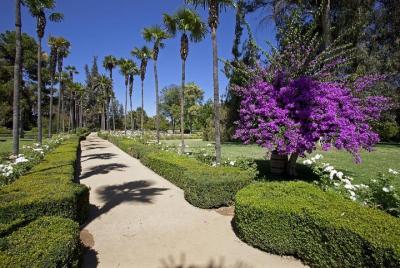 San Antonio Small Group Pre-Post Cruise Santiago City Tour y Undurraga Winery San Antonio Small Group Pre-Post Cruise Santiago City Tour y Undurraga Winery