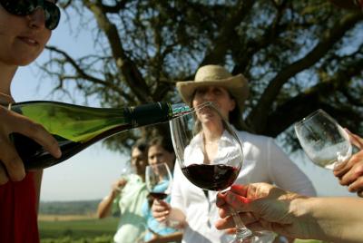 Puerto Privado de San Antonio Tour Pre-Post Crucero Santiago City y Bodega Undurraga Puerto Privado de San Antonio Tour Pre-Post Crucero Santiago City y Bodega Undurraga